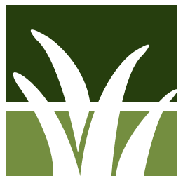 Federal Way Lawn Clean Up