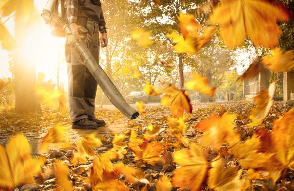 Leaf Blowing Service in Federal Way