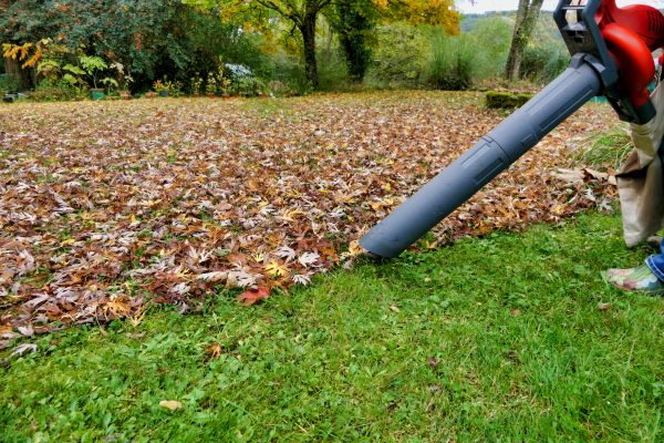 Leaf Vacuuming Service in Federal Way