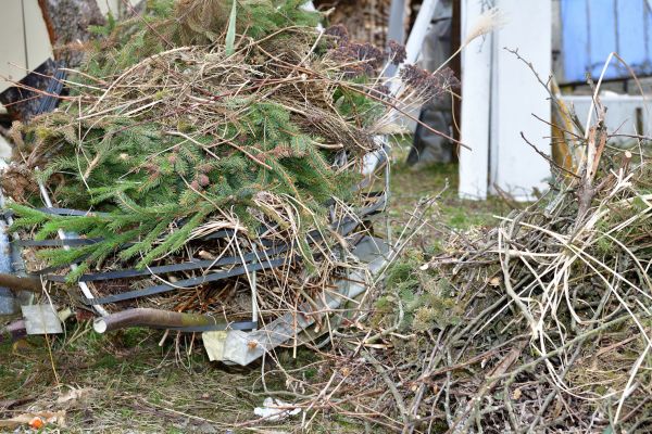 Yard Waste Removal Service in Federal Way