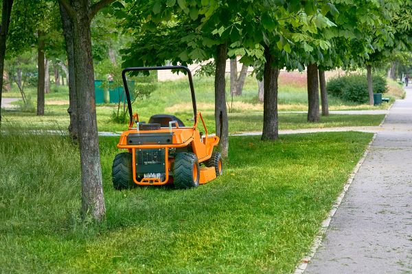 Landscaping Cleanup Service in Federal Way