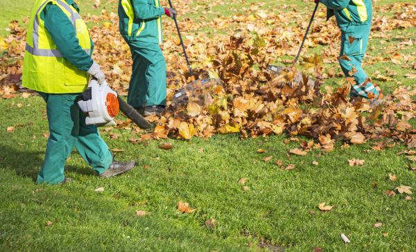 Leaf Maintenance in Federal Way