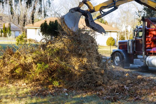 Storm Debris Removal in Federal Way