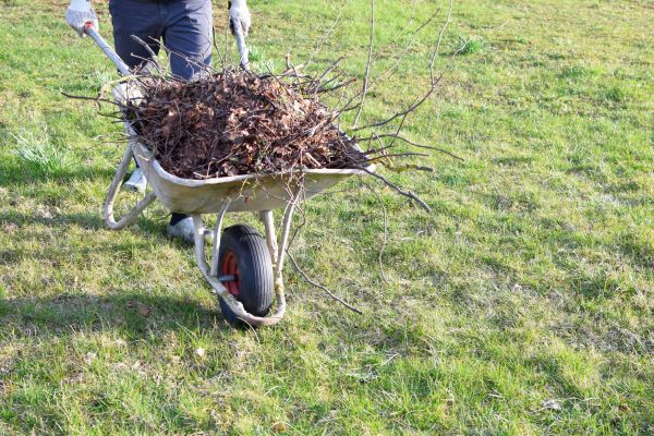 Yard Brush Removal in Federal Way