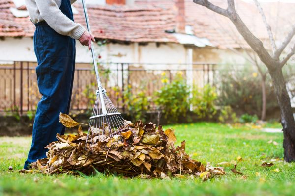 Spring Lawn Cleanup in Federal Way