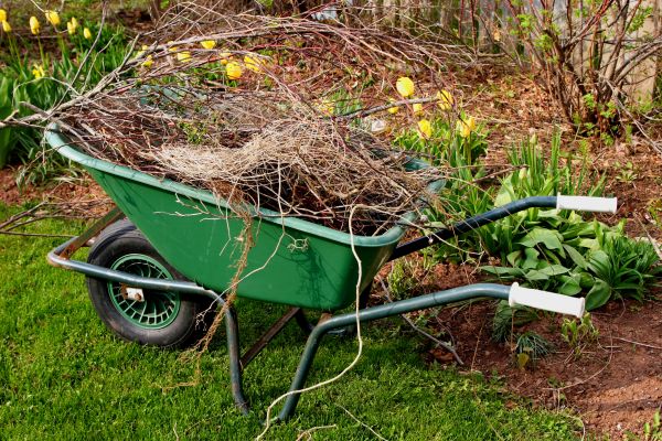 Lawn Waste Removal in Federal Way