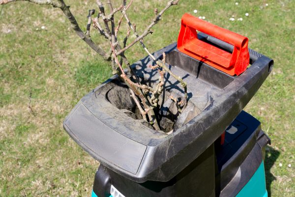 Cost of Brush Cleanup Service in Federal Way
