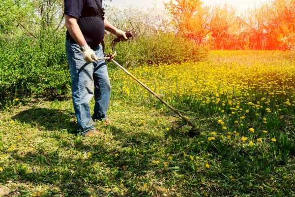 Yard Clearing Service in Federal Way