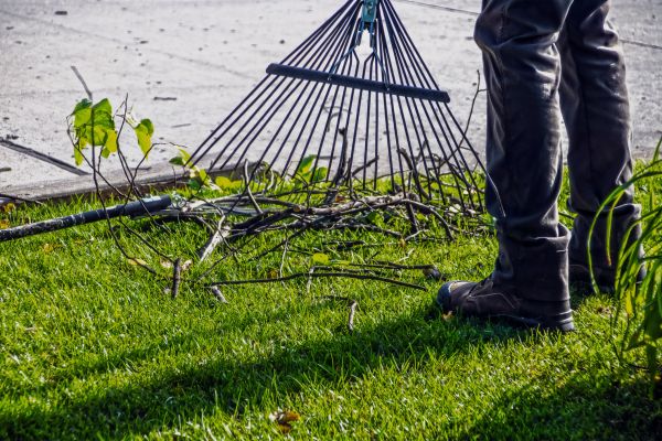 Yard Debris Cleanup in Federal Way