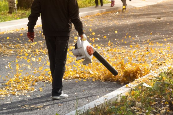 Commercial Leaf Removal in Federal Way